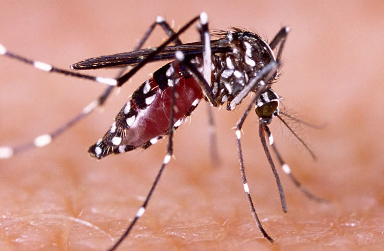 Registro Epidemiológico